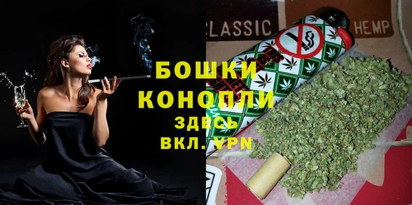 соль ск Белокуриха